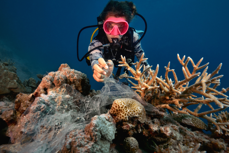 Pullman Maldives Maamutaa - Marine biologist